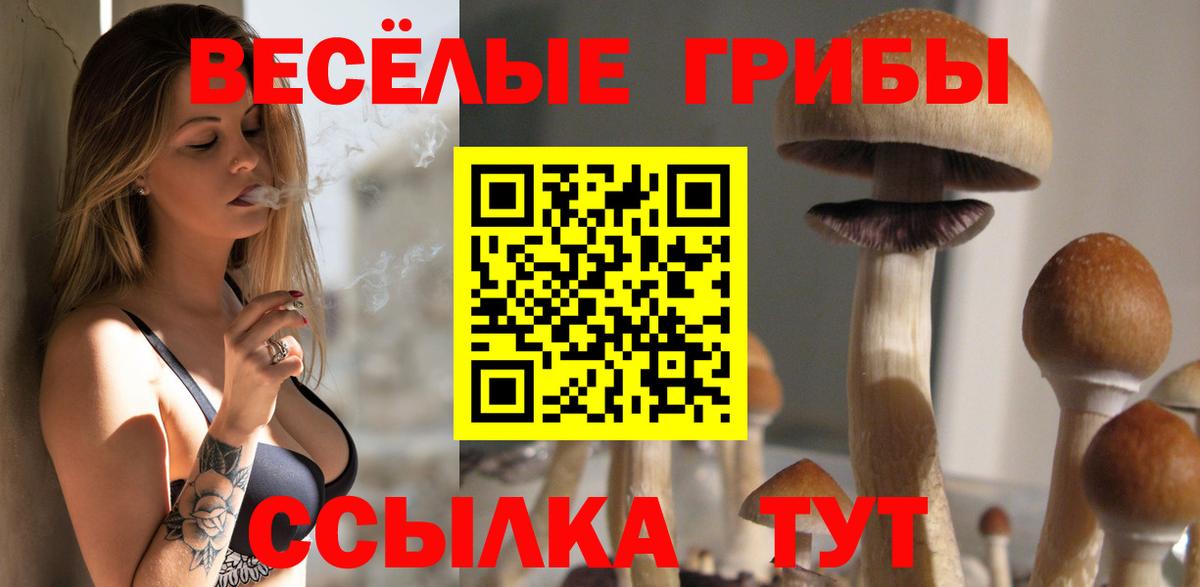 Искитим  Псилоцибиновые грибы MAGIC MUSHROOMS  Вход с VPN 
